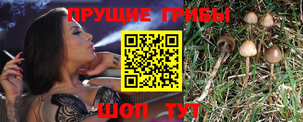 Галлюциногенные грибы GOLDEN TEACHER Россошь