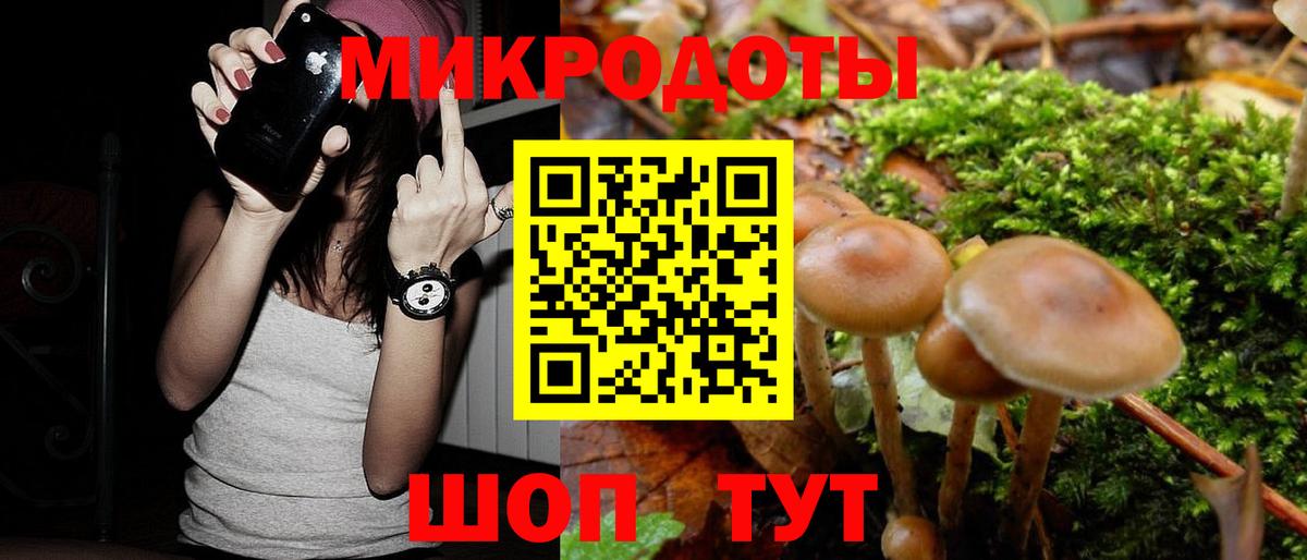 Россошь  Галлюциногенные грибы Psilocybine cubensis  Вход с VPN 